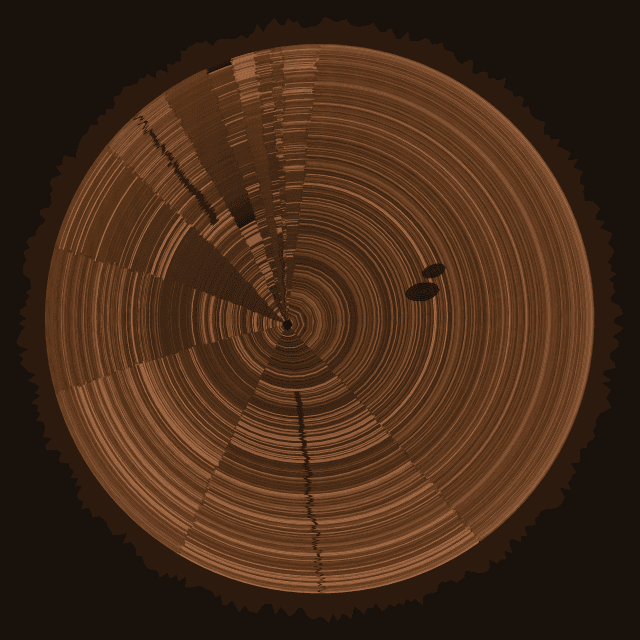 curl/curl as a tree-trunk cross-section